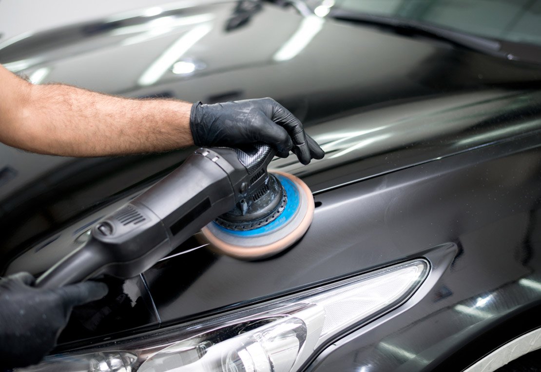 2- العناية بنبات البروميلياد المتسلق: كيفية ري نبات البروميلياد المتسلق والعناية به